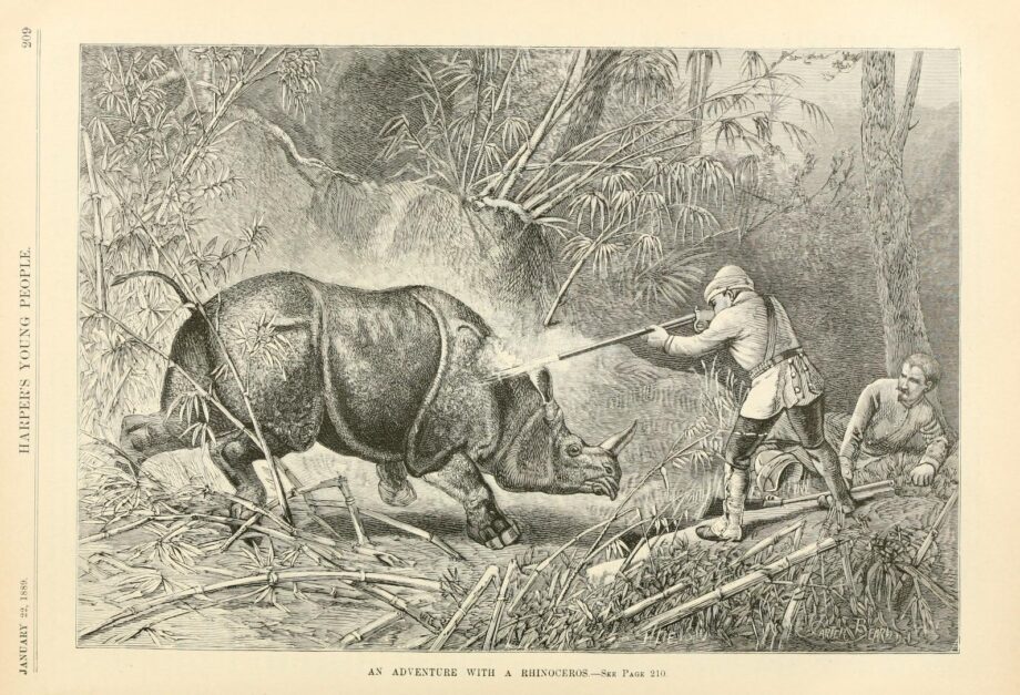 Rhinoceros hunt in Indochina