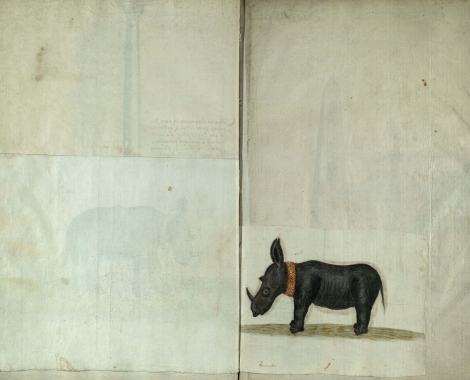 Freshfield Album page 19