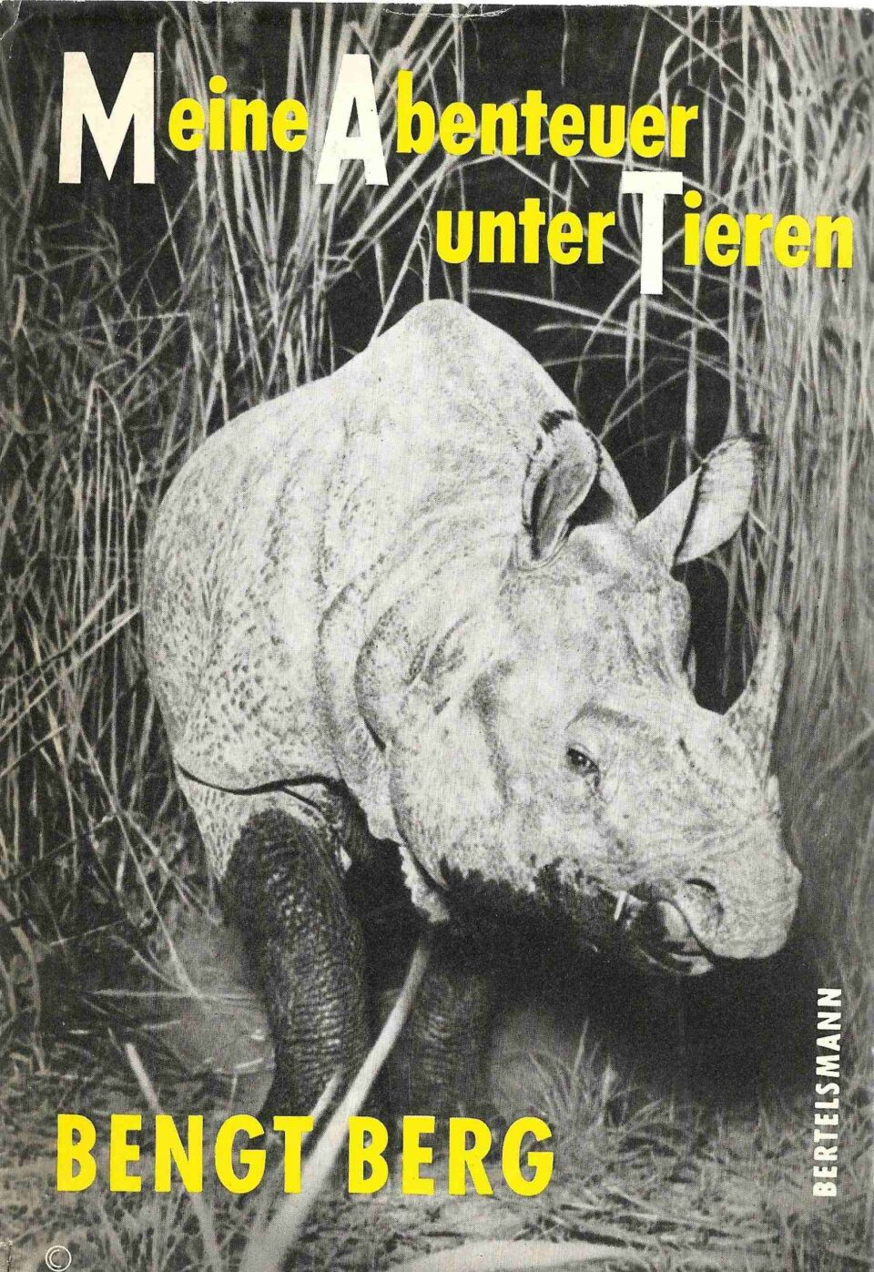 Berg Meine Abenteuer