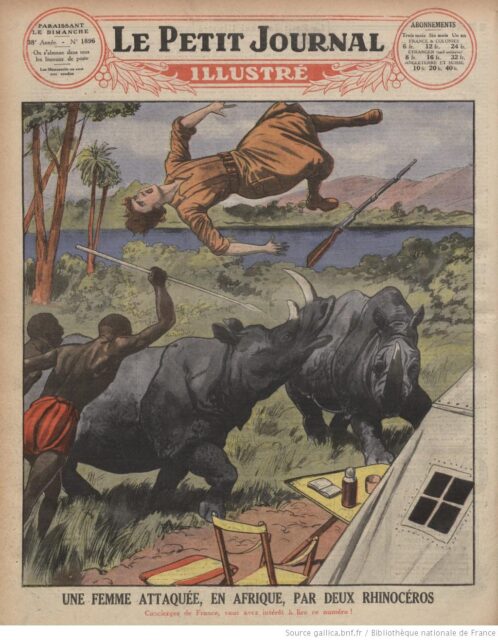 Woman attacked by rhino