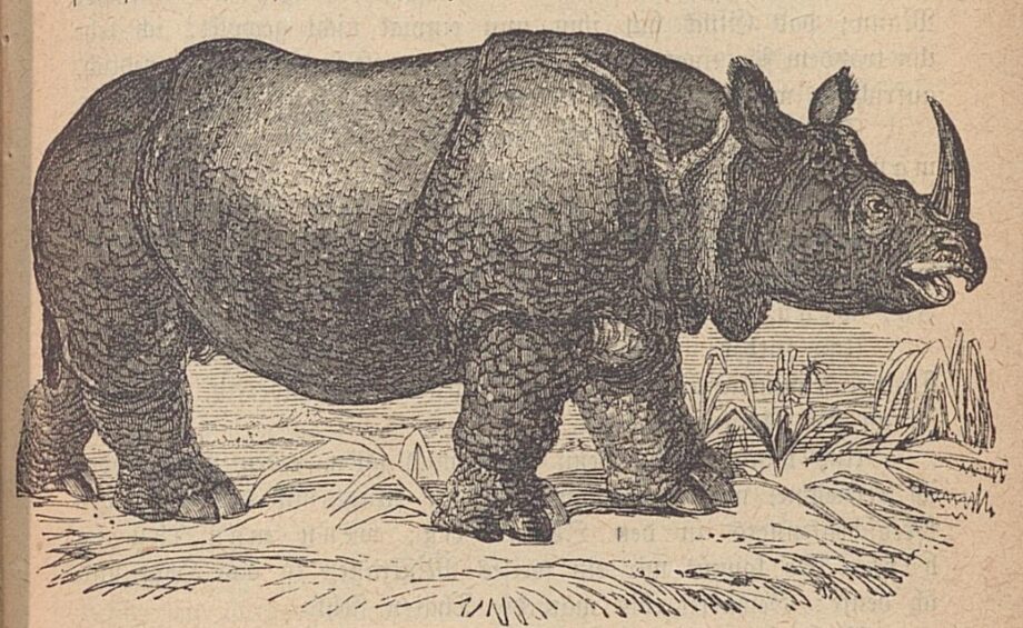 Kaiser Kalender 1888