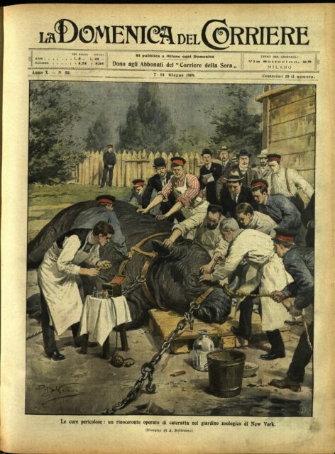 New York eye operation 1908