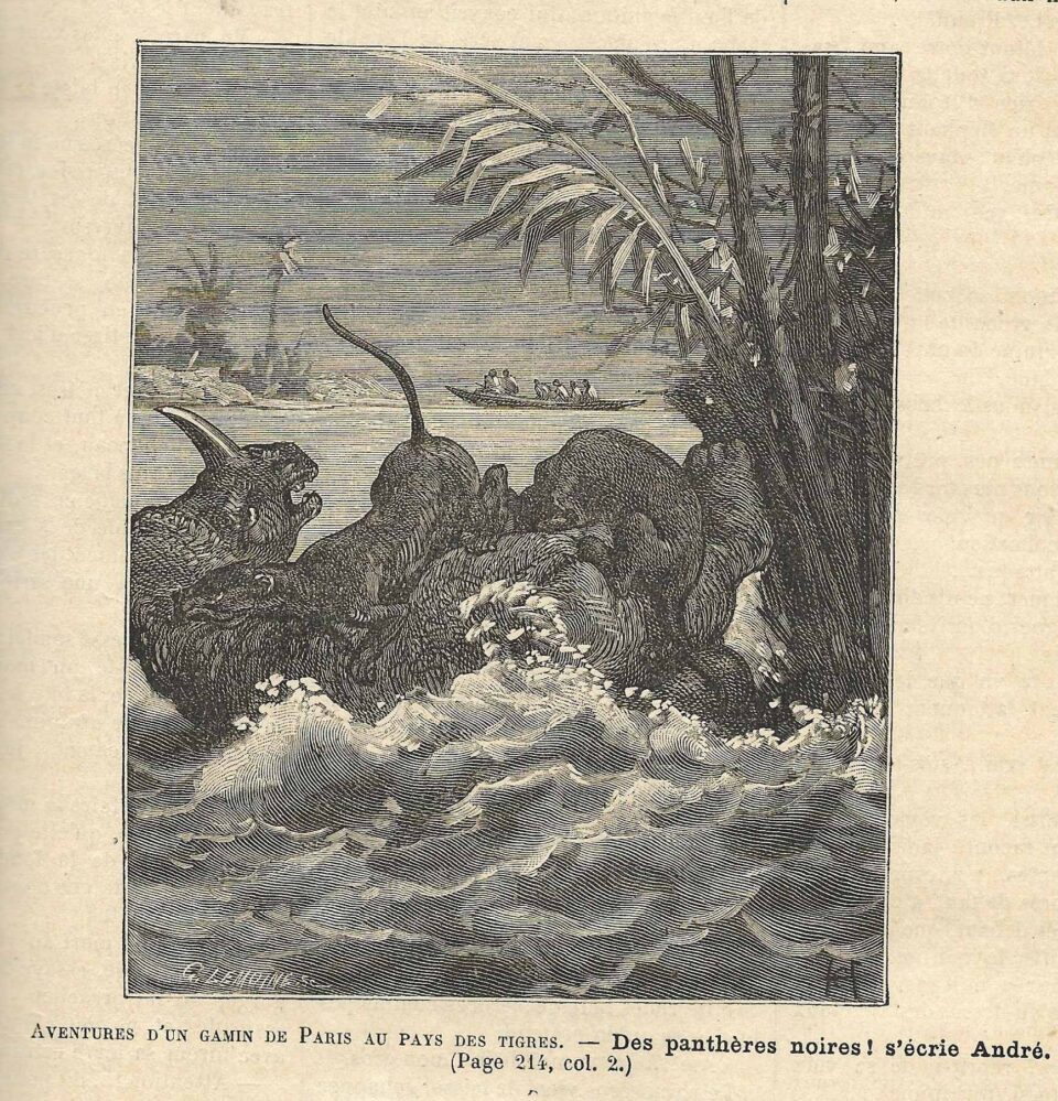 Leopards attack rhino