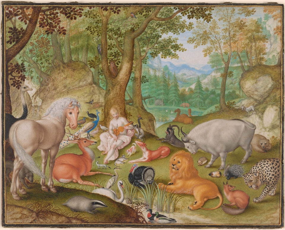 Hoefnagel Orpheus 1613