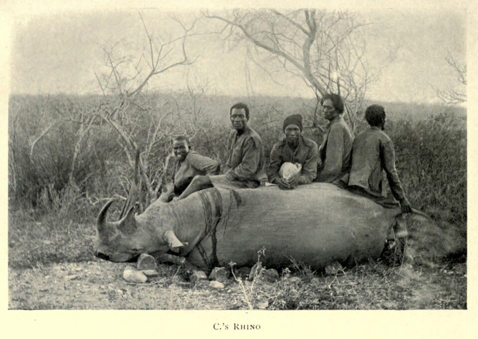 Mainwaring Somaliland