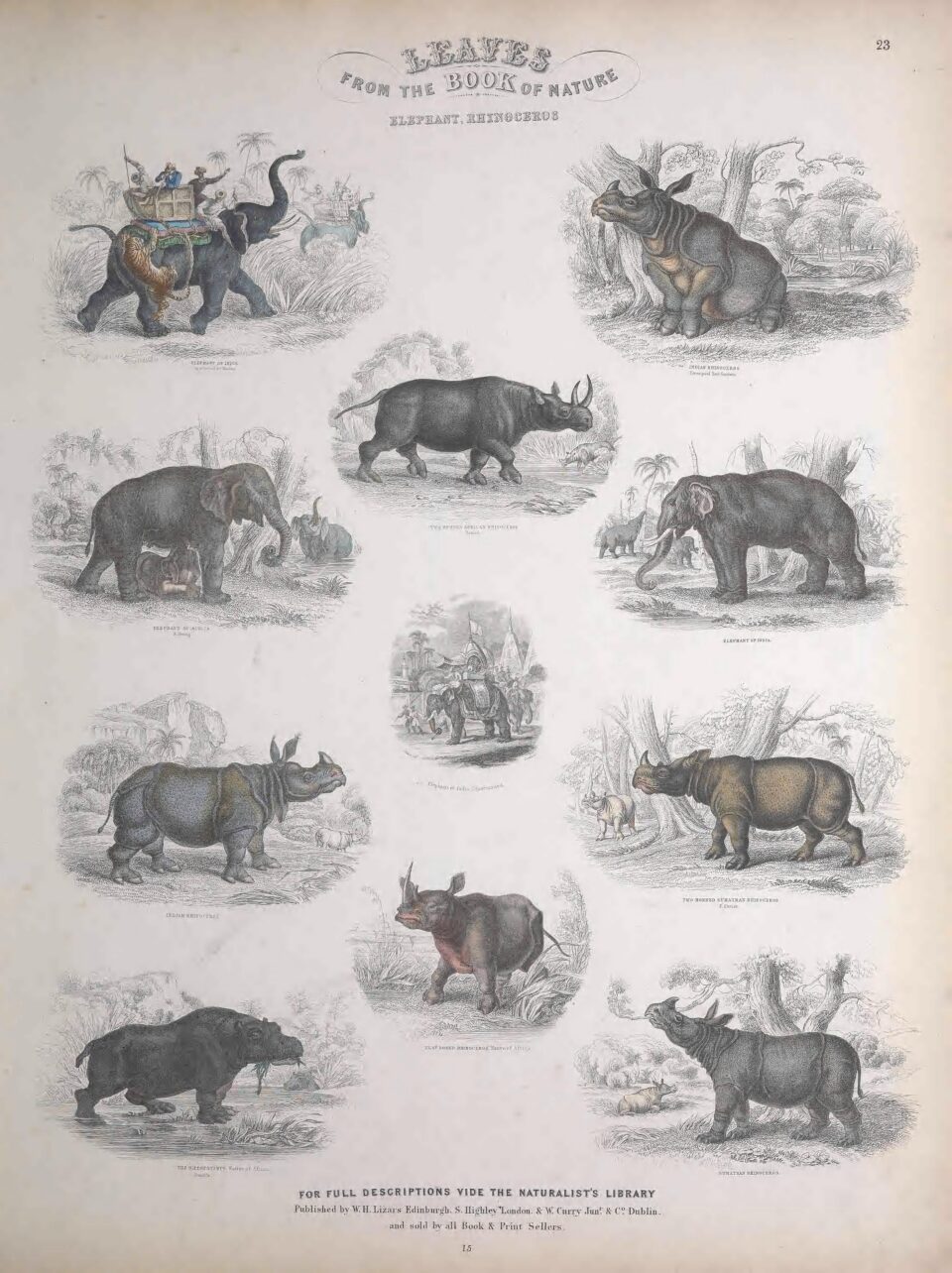 Jardine Book of Nature