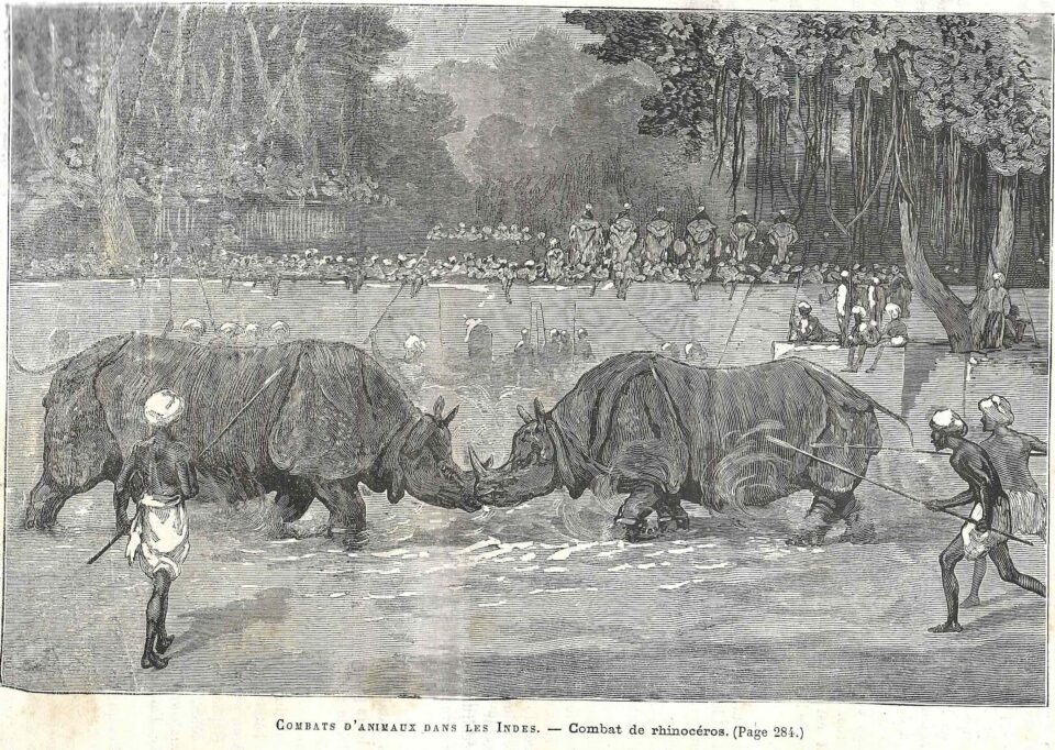 Baroda 1875 Journal des Voyages