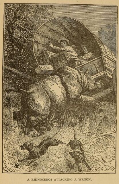 Rhinoceros attacking a waggon