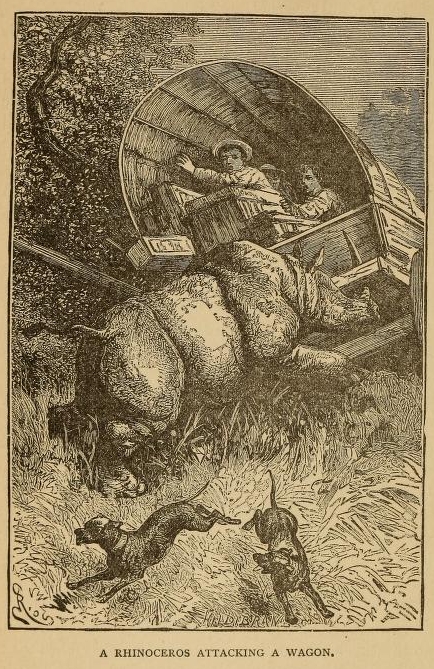 Rhinoceros attacking a waggon