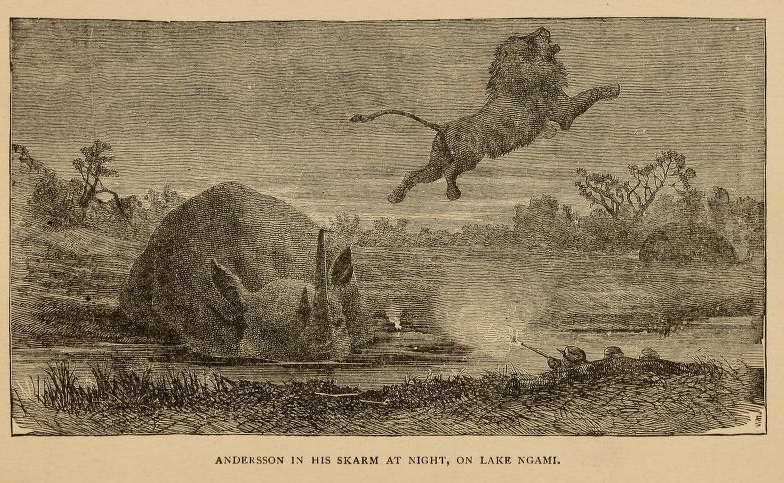 Andersson in his skarm