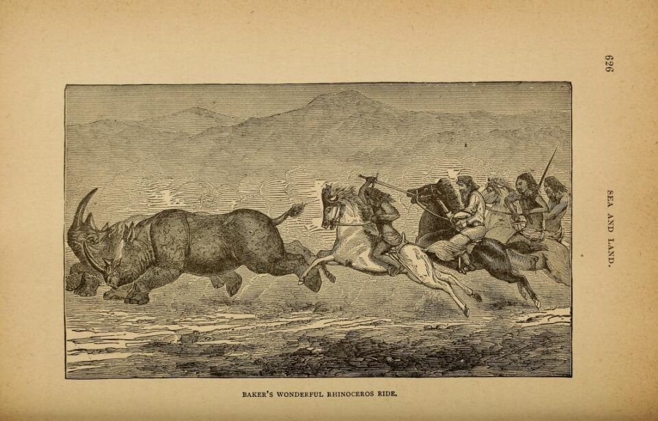 Baker’s rhinoceros ride