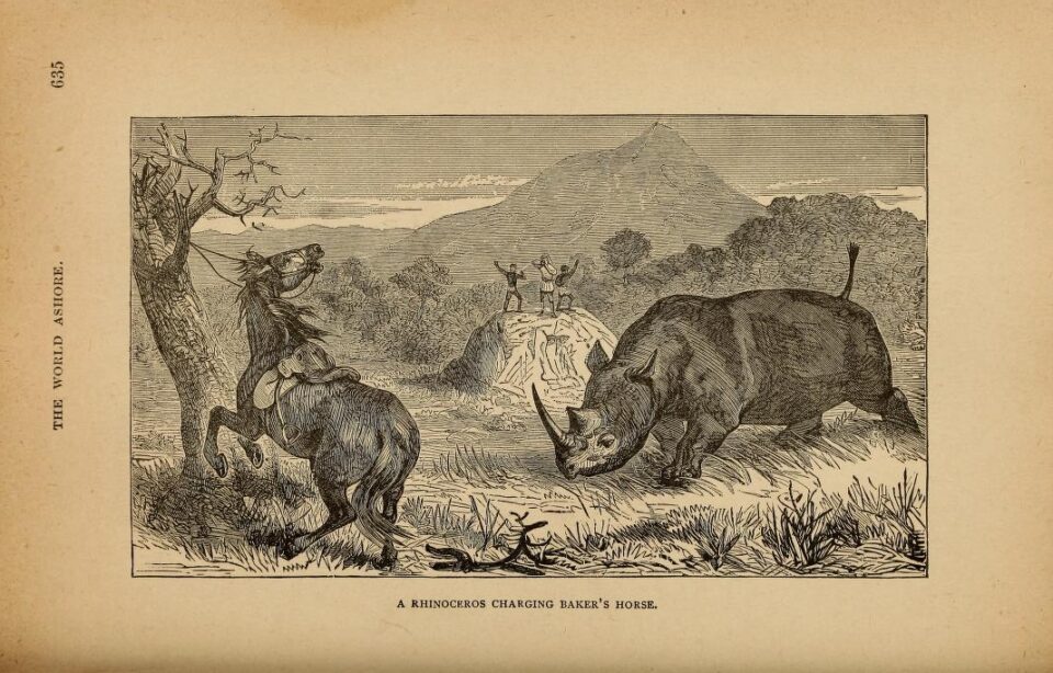 Charging Baker's horse