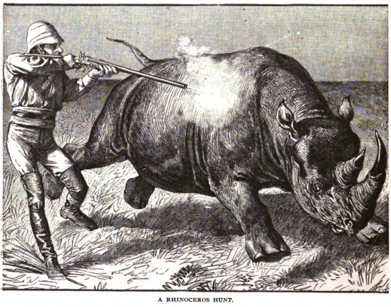 Heroes of Dark Continent