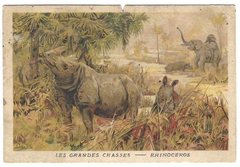 Goujon Advertisement