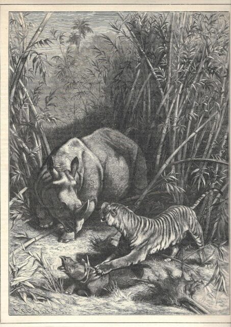 Chasses Illustrees 1887