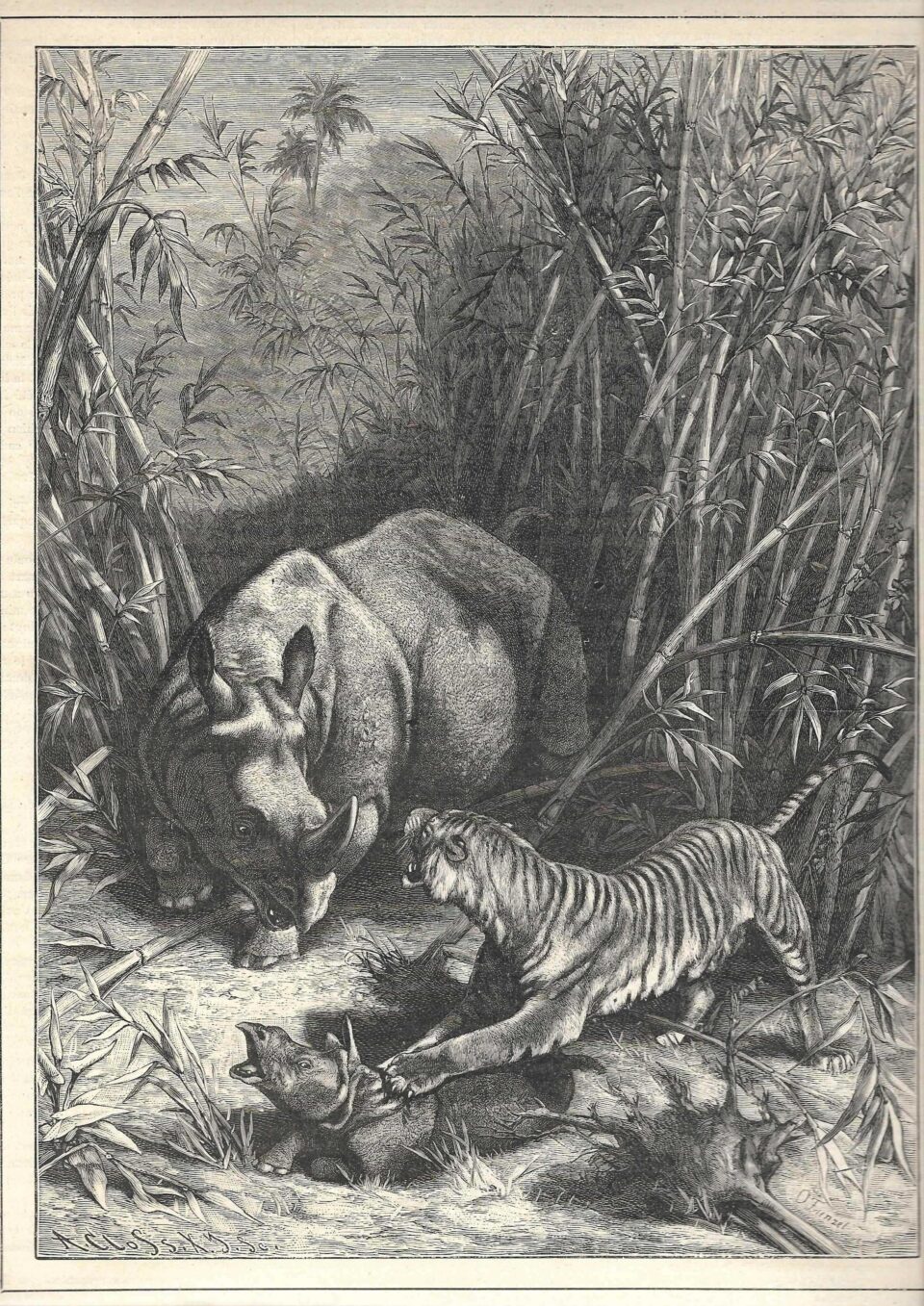 Chasses Illustrees 1887