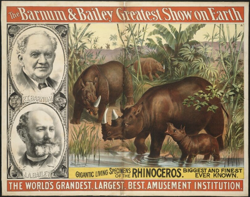 Poster of biggest rhinoceros