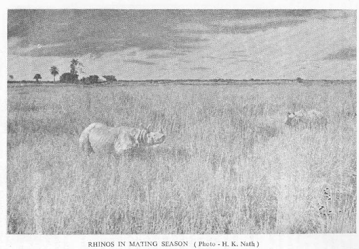 Kaziranga in 1960s