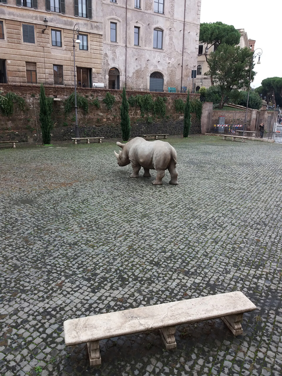 A Ceratotherium in the historic centre of Rome