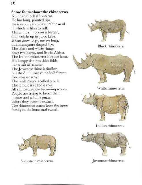 Rhino species