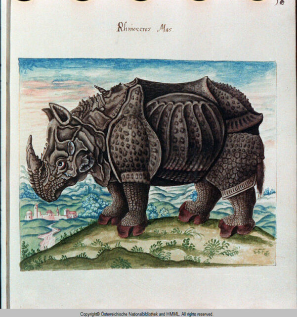 Codex Vindobonensis 82f