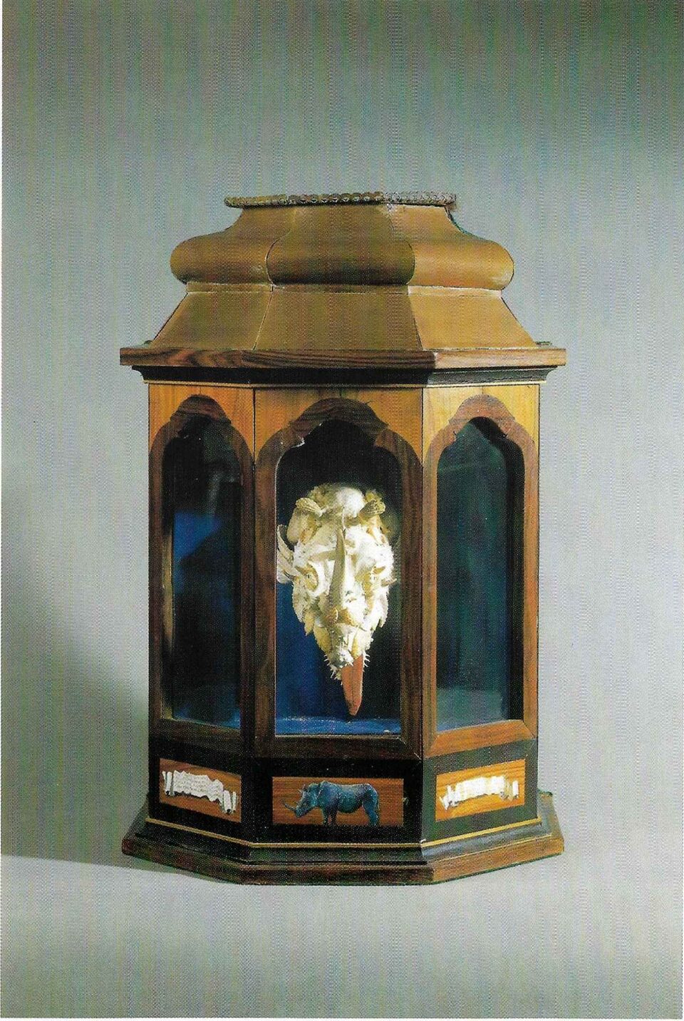 Faravelli rhinoceros