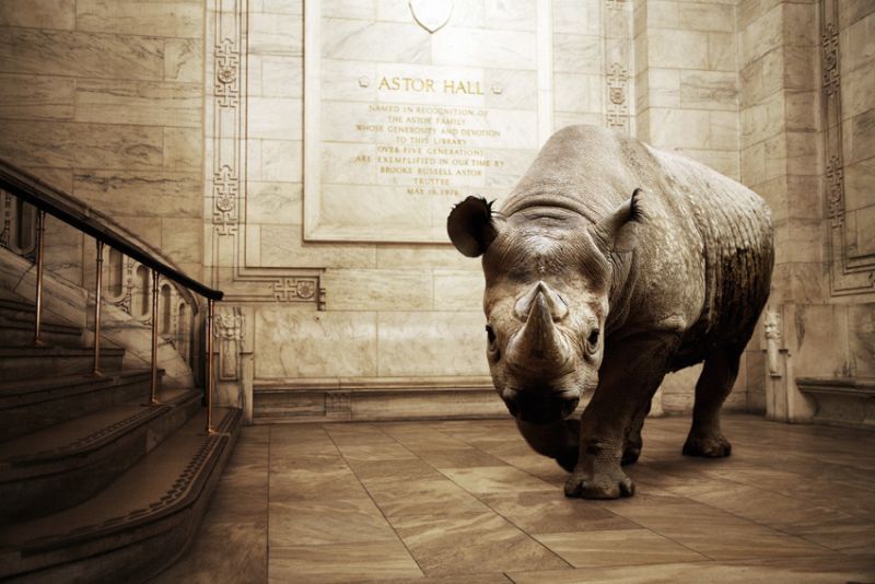 Mikel Uribetxeberría