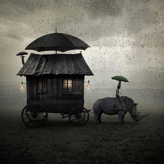 Leszek Bujnowski