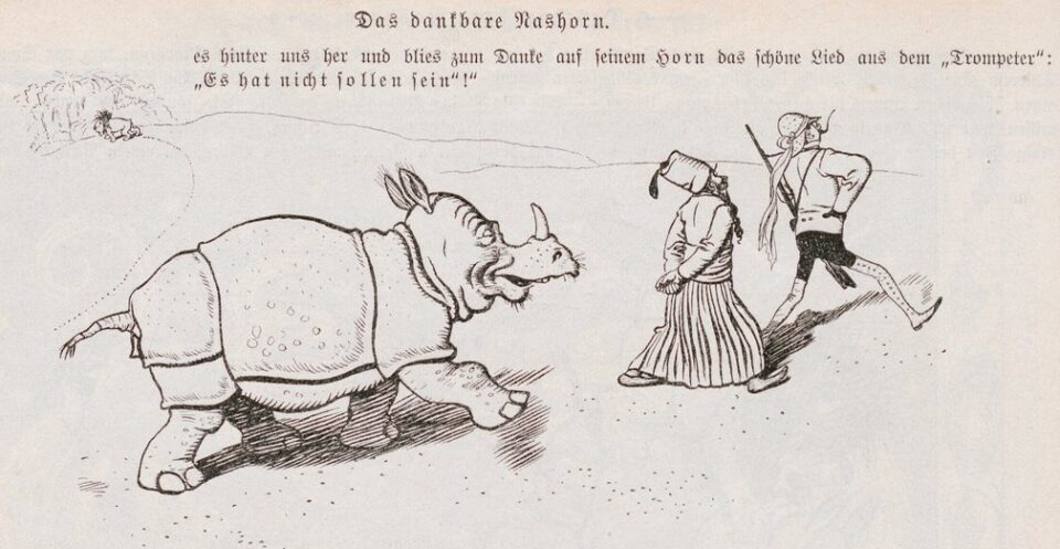 Grateful rhinoceros 03