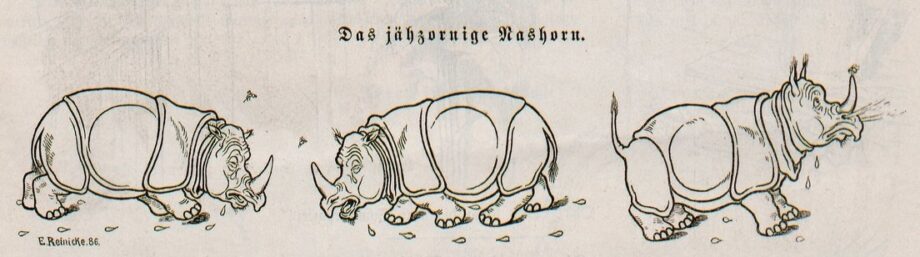 Reinicke Irascine Rhino 01