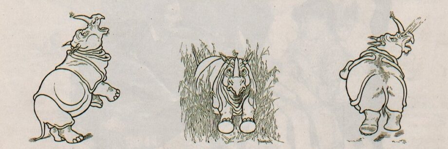 Reinicke Irascine Rhino 02