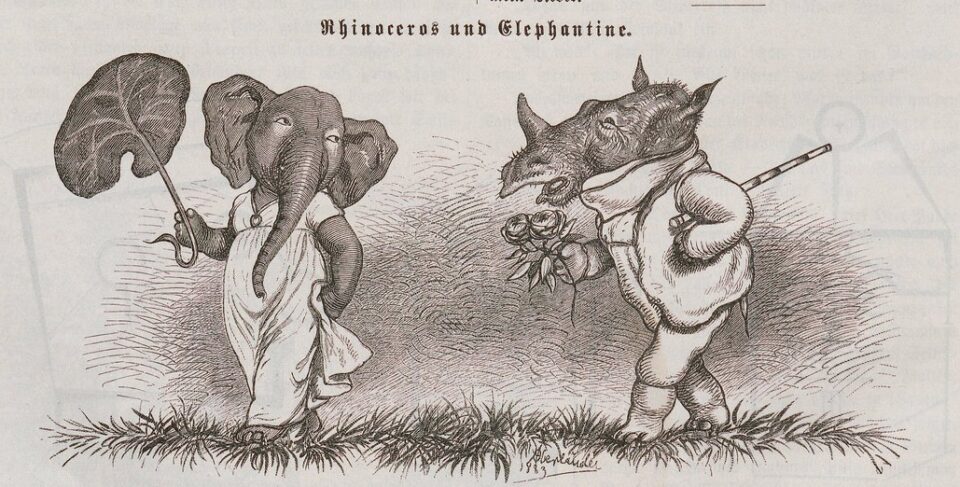 Oberlander Rhino and Elephant 01