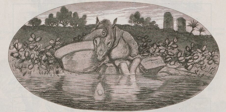 Oberlander Rhino and Elephant 02