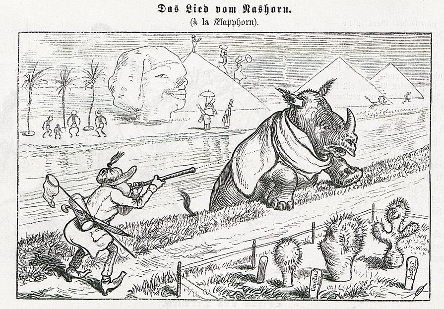 Song of the rhinoceros