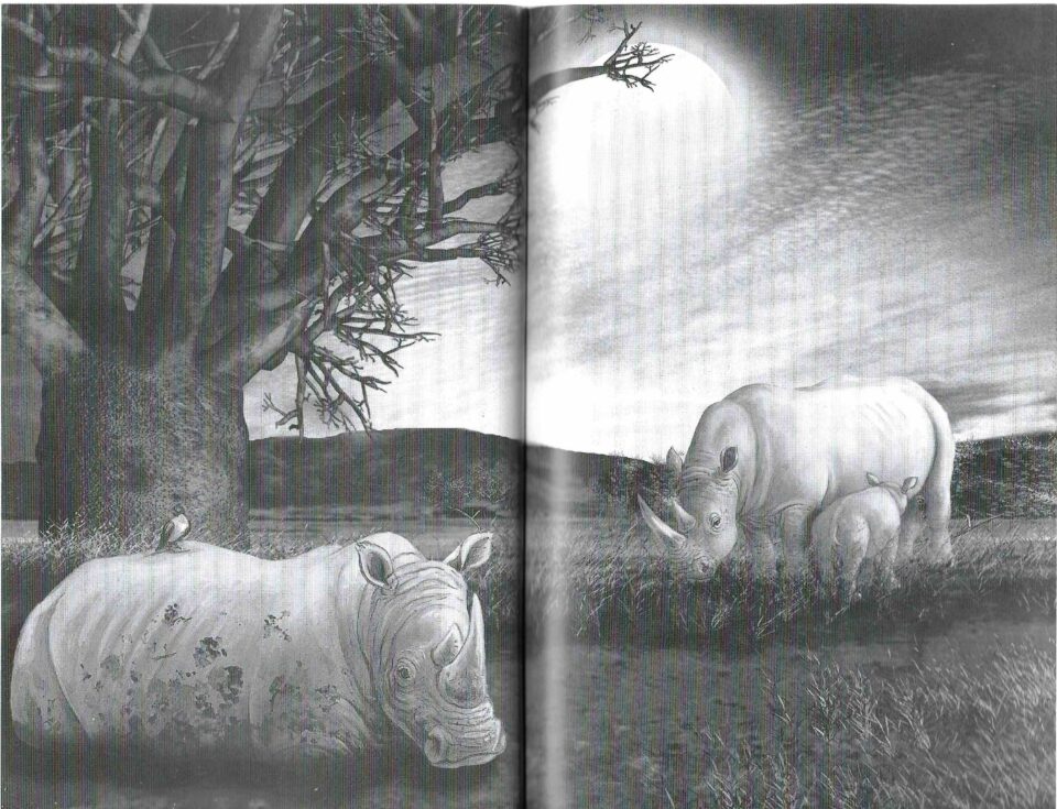 Surget rhinoceros 02