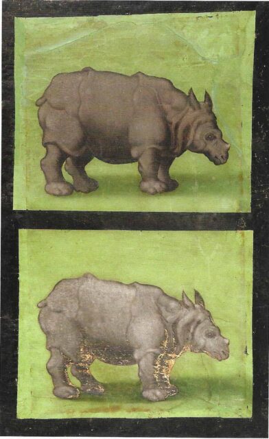 Marvel of Lisbon 1583