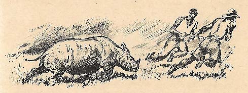 Rhino hunt on Kilimanjaro