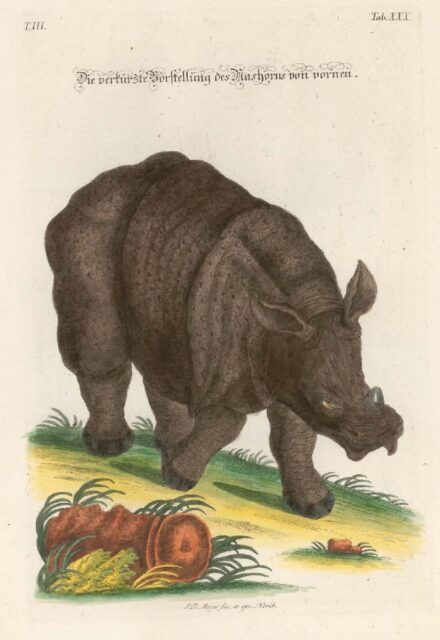 Meyer Verkurzte Vorstellung