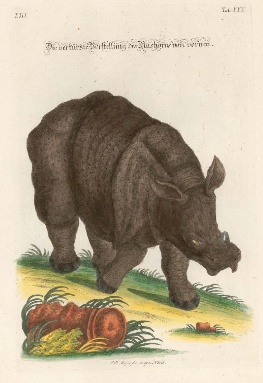 Meyer Verkurzte Vorstellung