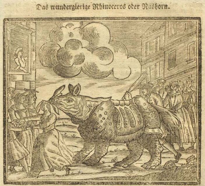 Wundergierige Nashorn