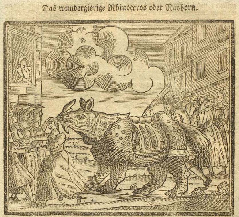 Wundergierige Nashorn