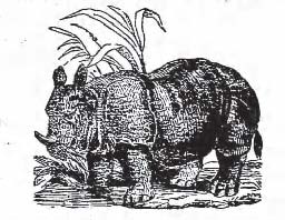 Raymond and Driesbach