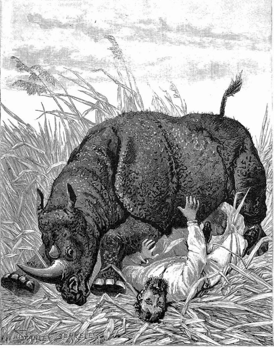 Charged by a rhinoceros