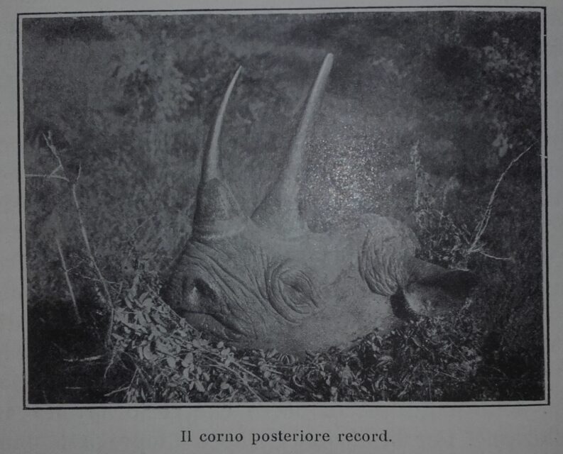 Record posterior horn