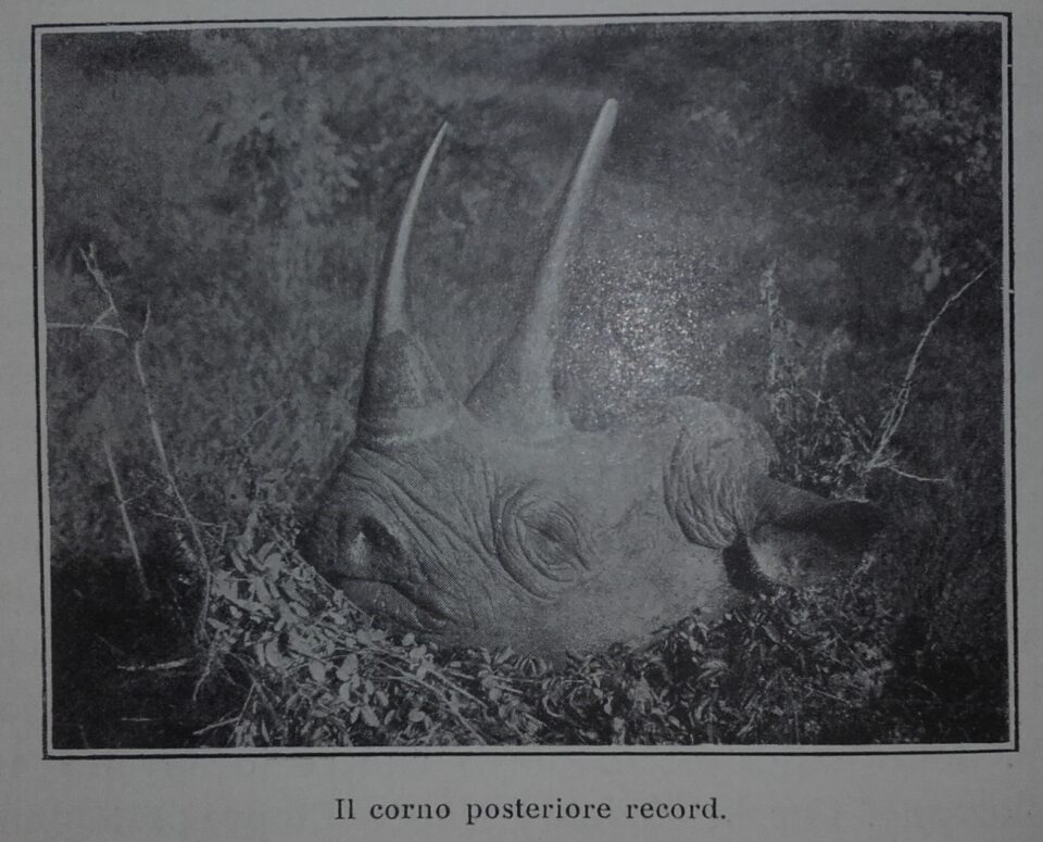 Record posterior horn