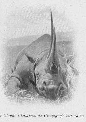 Crespigny in Kenya 01