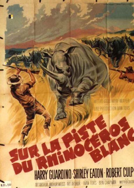 Sur La Piste du Rhinoceros Blanc