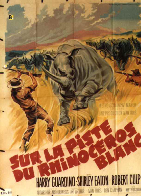 Sur La Piste du Rhinoceros Blanc