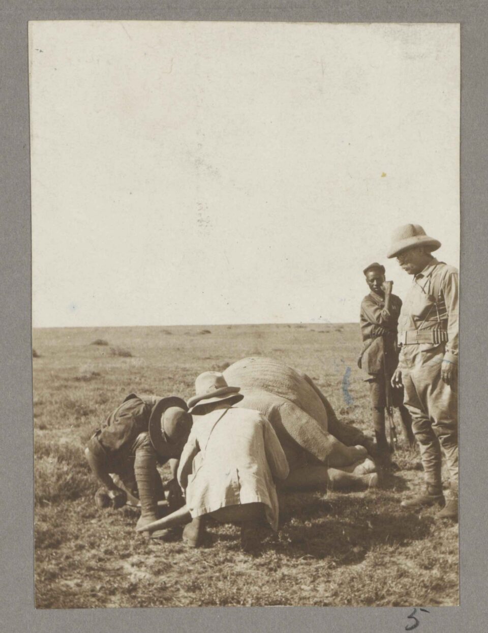 Roosevelt in East Africa 1