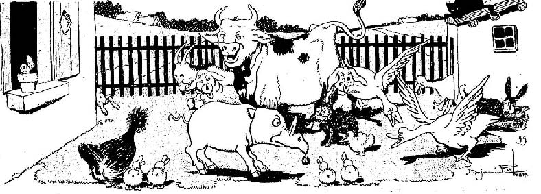 Rhinoceros on the farm